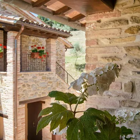 Bed & Breakfast Borgo Sant'Apollinare